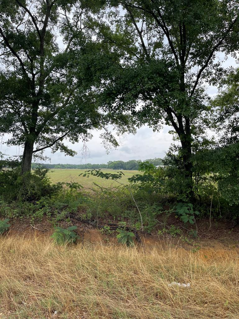 Lot 9 Bill Yance Road Ashford, AL 36312 - Photo 1 of 6
