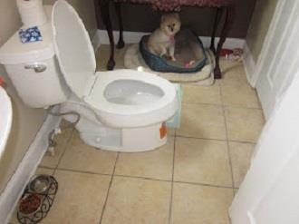 500 Normandy Tullahoma Road Normandy, TN 37360 - Photo 11 of 26 a bathroom with a toilet and a mirror