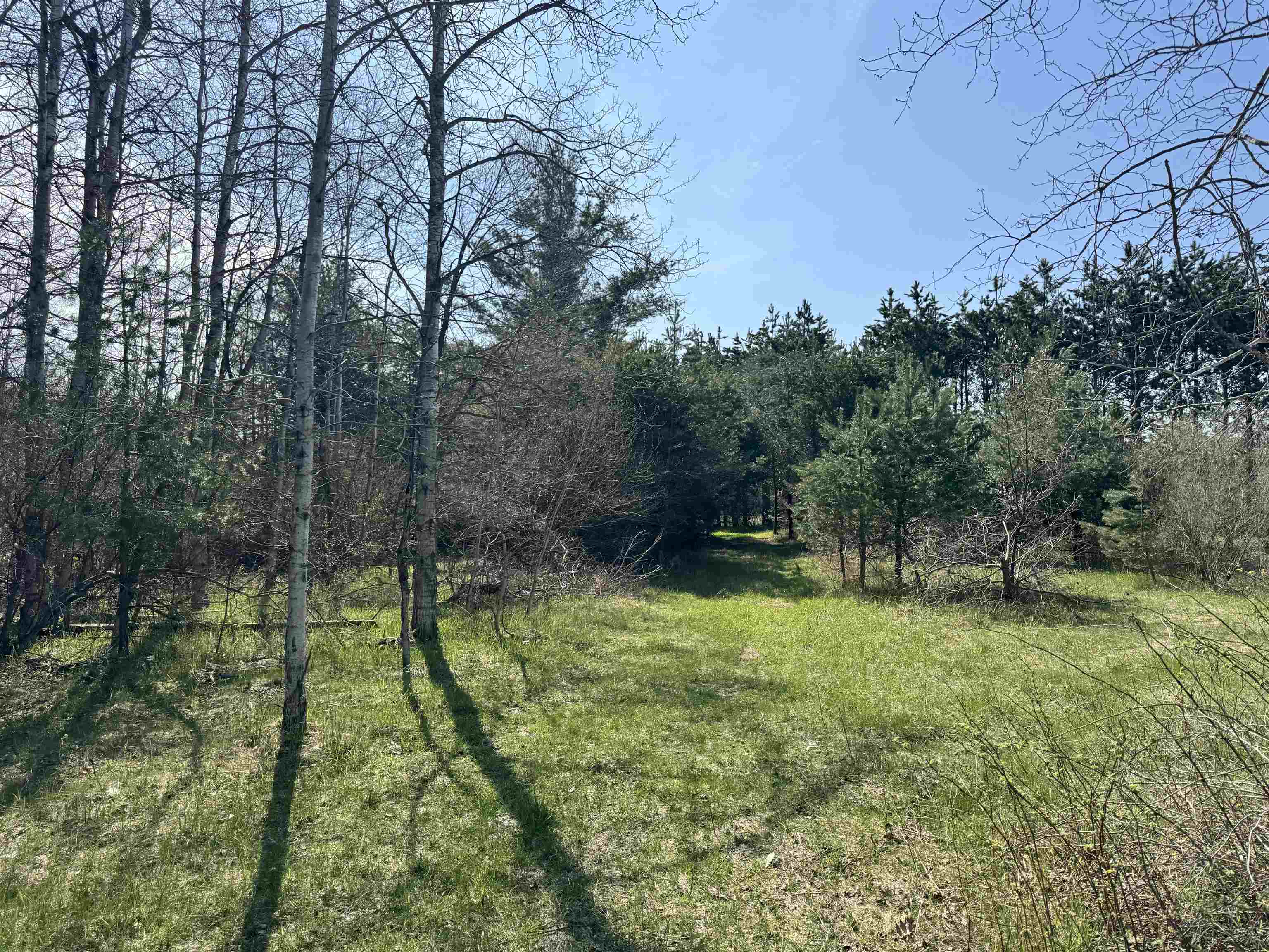 Tbd North Loomis Road Clare, MI 48617 - Photo 8 of 9