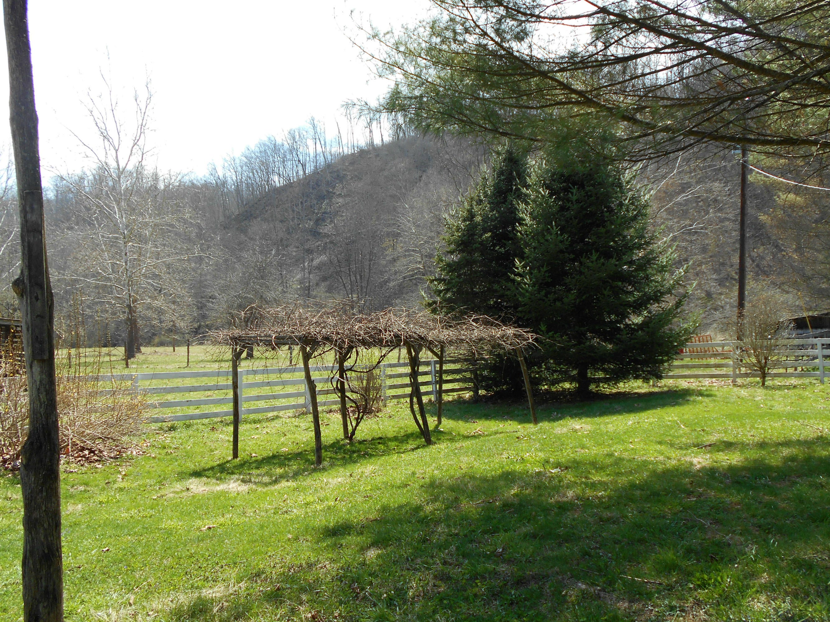 Hc67 Robins Fork Road Renick, WV 24966 - Photo 6 of 26 Gallery Image 6