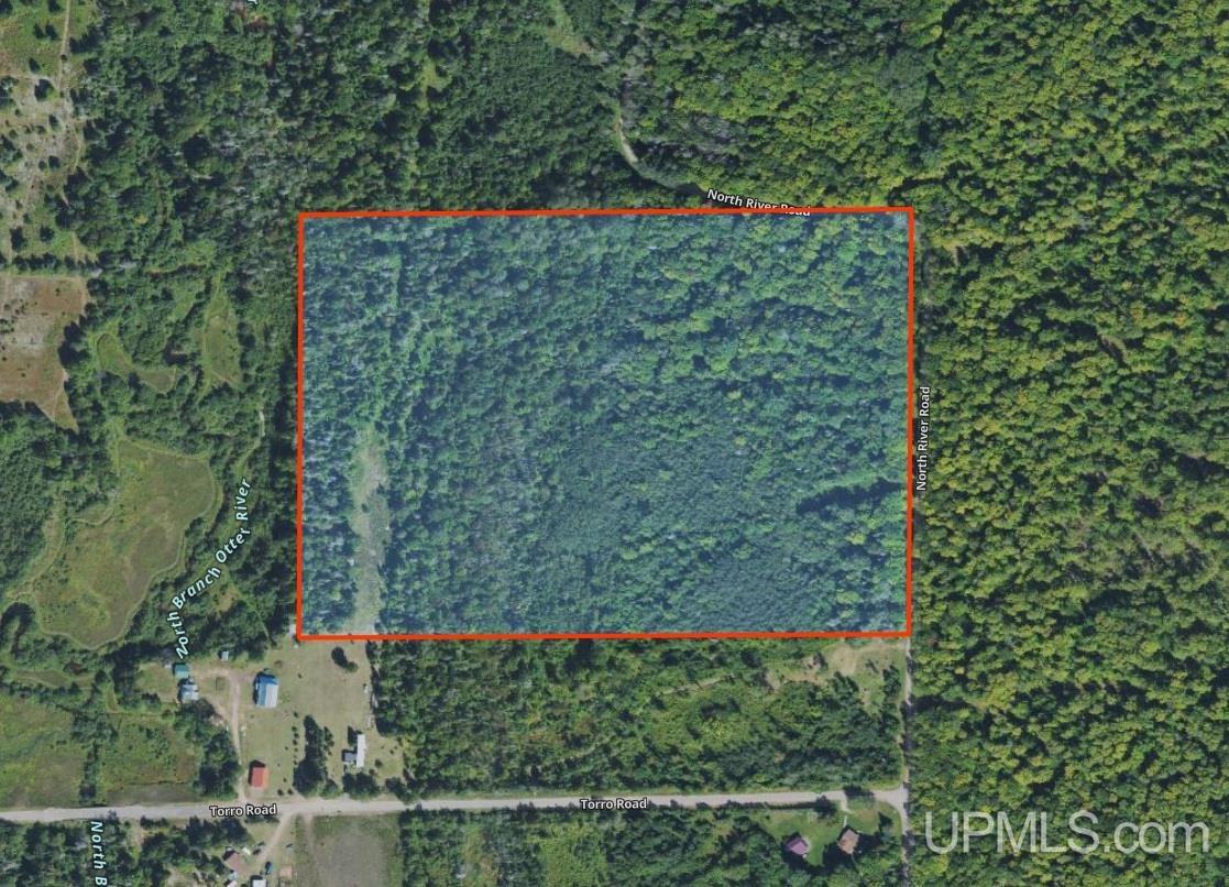 37373 Crooked Road Chassell, MI 49916 - Photo 3 of 24