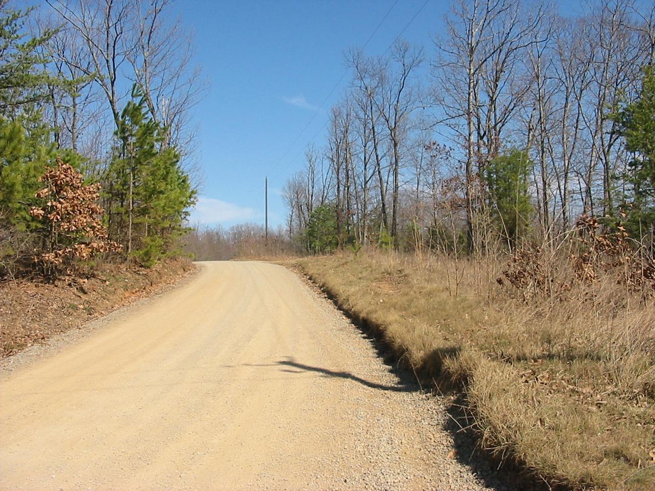 5555 Carters Mill Road Huddleston, VA 24104 - Photo 3 of 10 Road View
