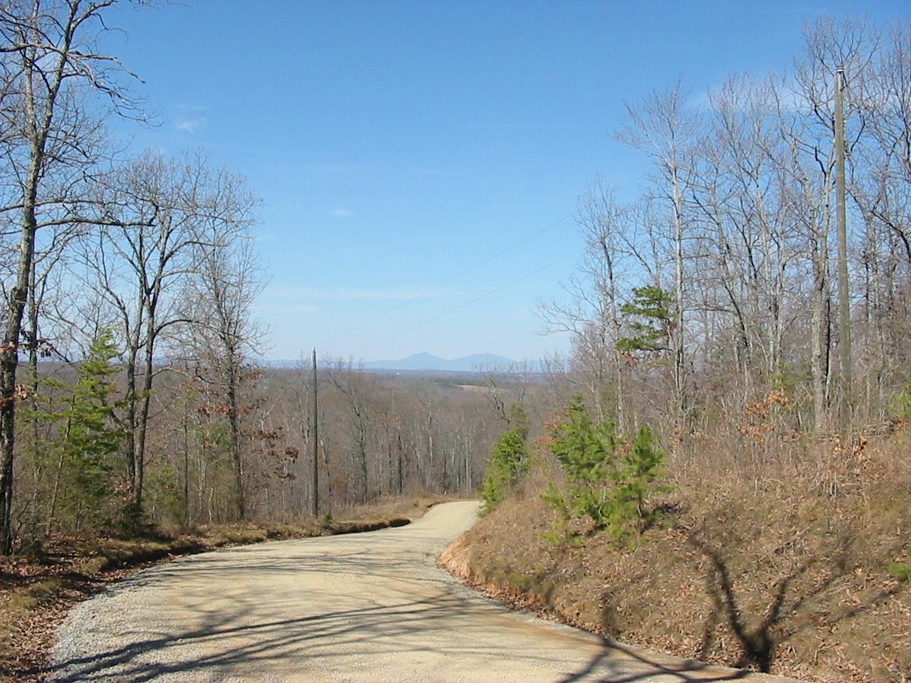5555 Carters Mill Road Huddleston, VA 24104 - Photo 4 of 10 Road View 2