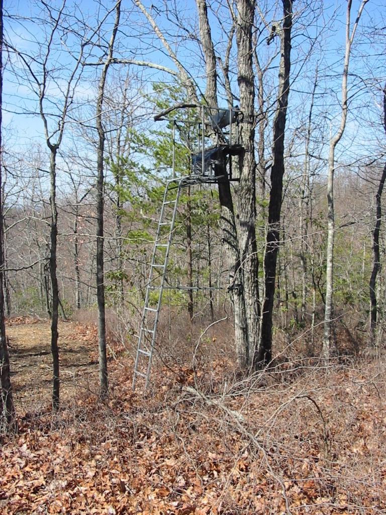 5555 Carters Mill Road Huddleston, VA 24104 - Photo 5 of 10 Deer Stand