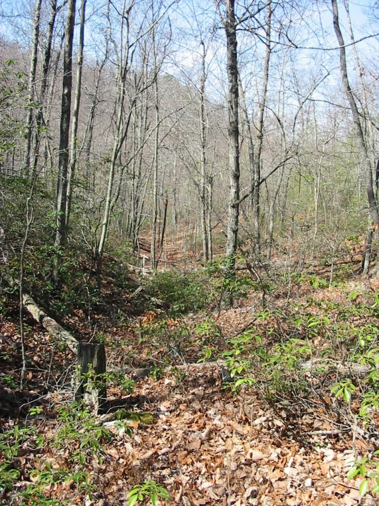 5555 Carters Mill Road Huddleston, VA 24104 - Photo 6 of 10 View