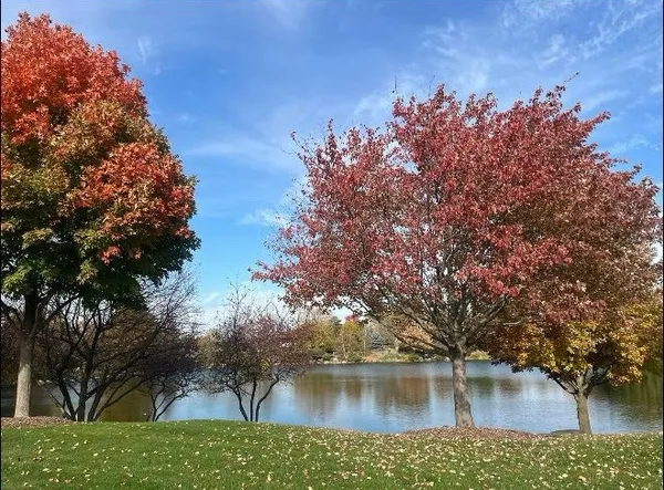$269,900 | 2221 Sassafras Way, Unit C, Wonder Lake, IL 60097