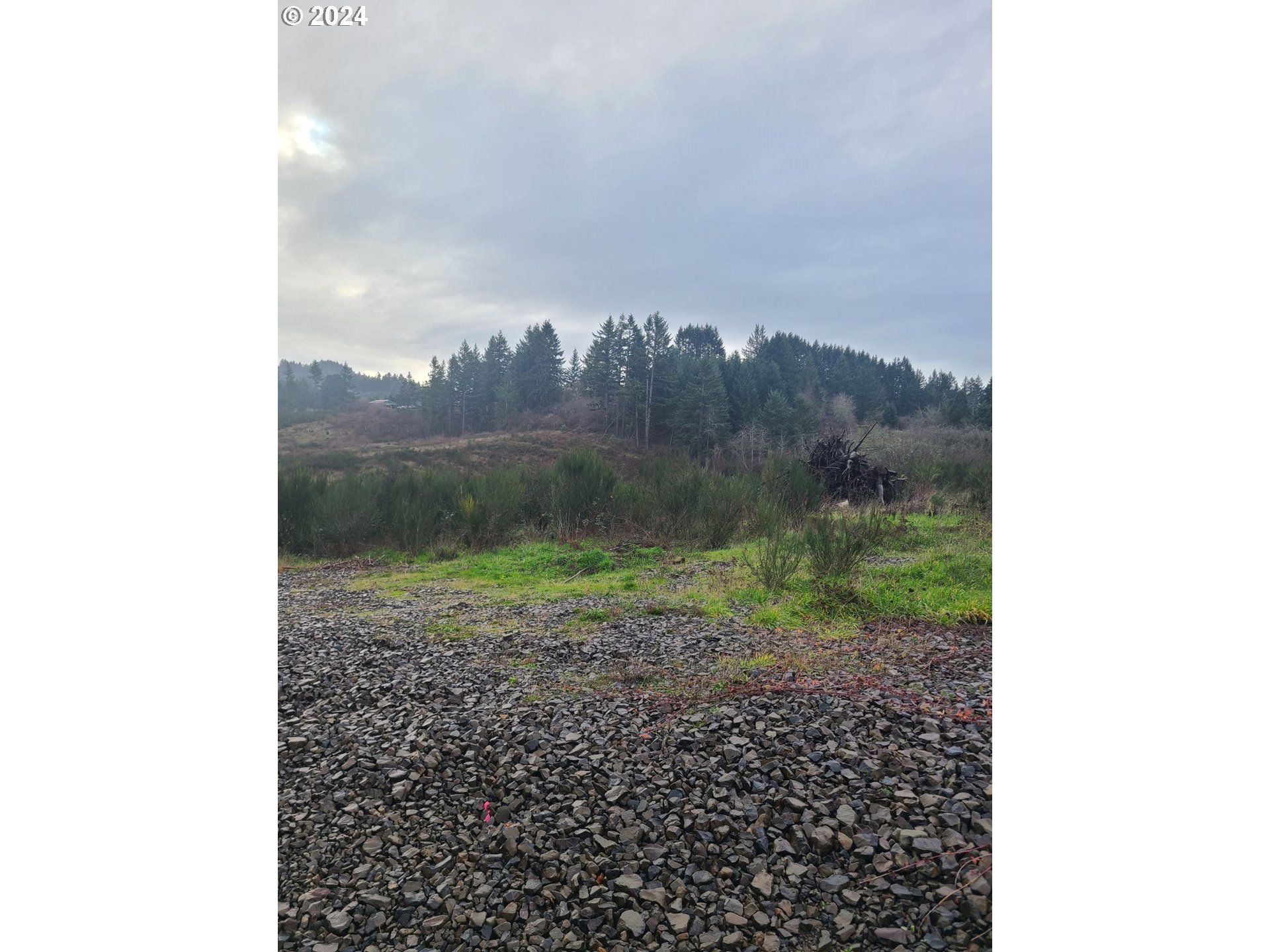 0 Bald Peak Hillsboro Or  