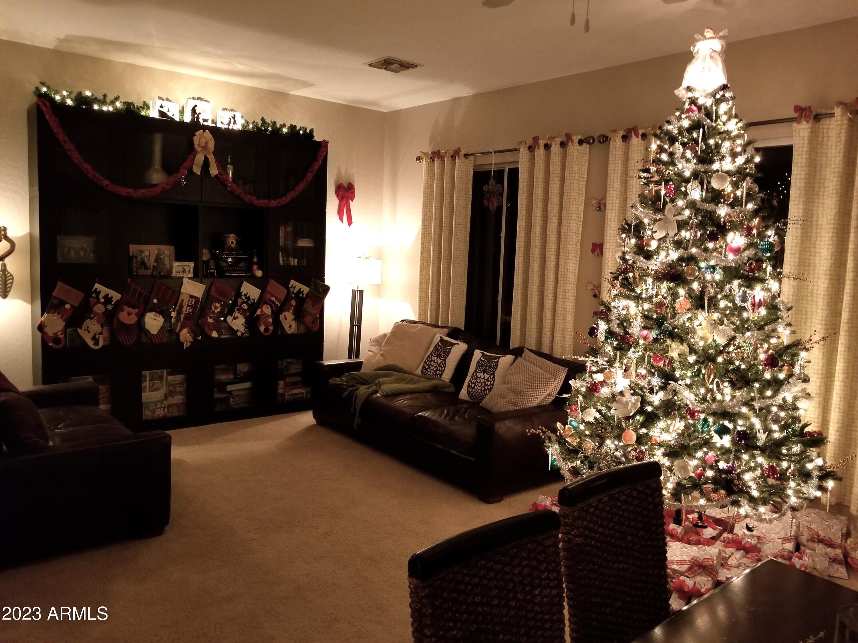 1448 North Rochester Drive Gilbert, AZ 85234 - Photo 45 of 48 Xmas LRm 0619