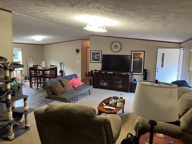 31184 Joe Hughes Road Andalusia, AL 36421 - Photo 8 of 50 Gallery Image 8