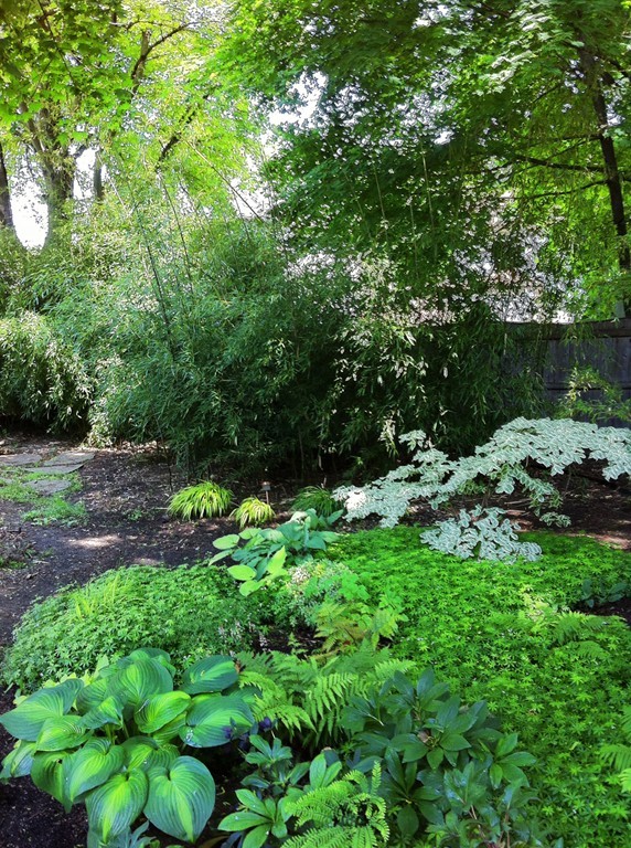 75 Garnet Road Boston, MA 02132 - Photo 20 of 23 Gallery Image 20