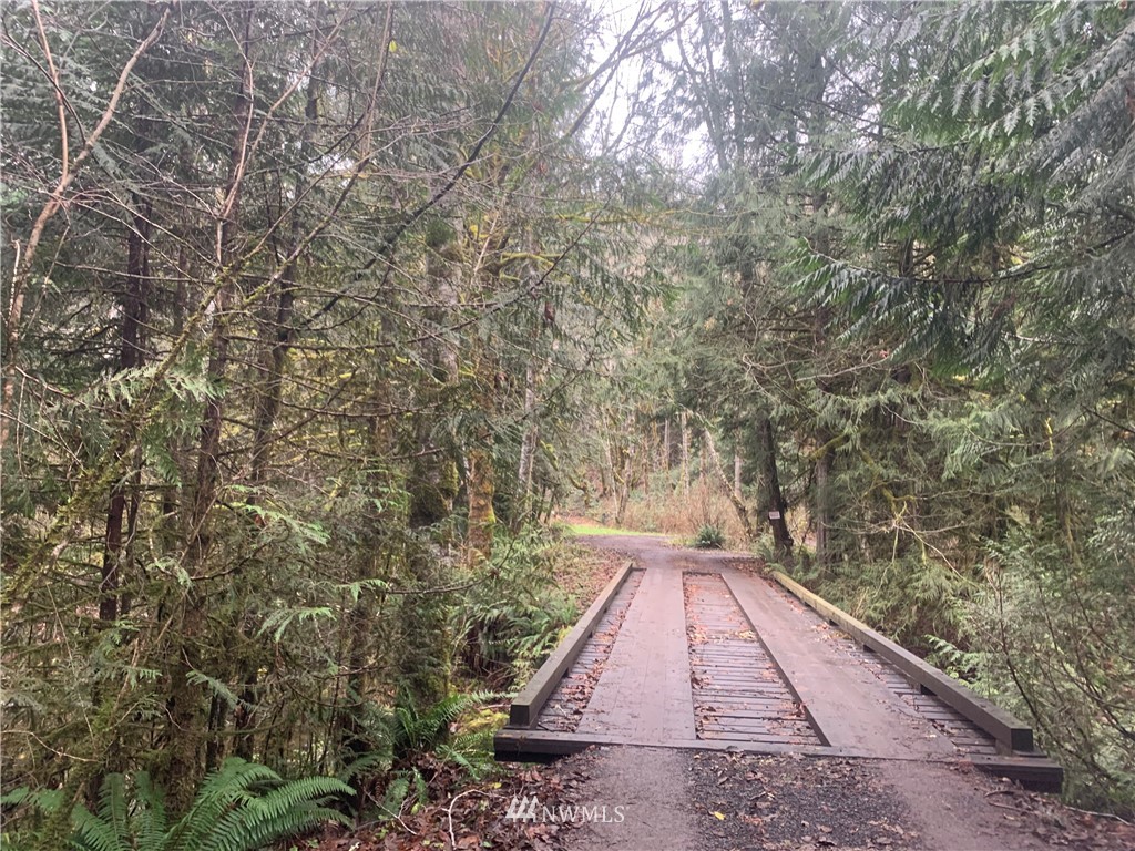 287 Lords Lake Loop Road Quilcene, WA 98376 - Photo 11 of 21