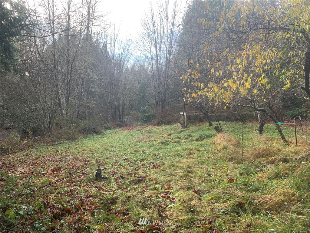 287 Lords Lake Loop Road Quilcene, WA 98376 - Photo 15 of 21