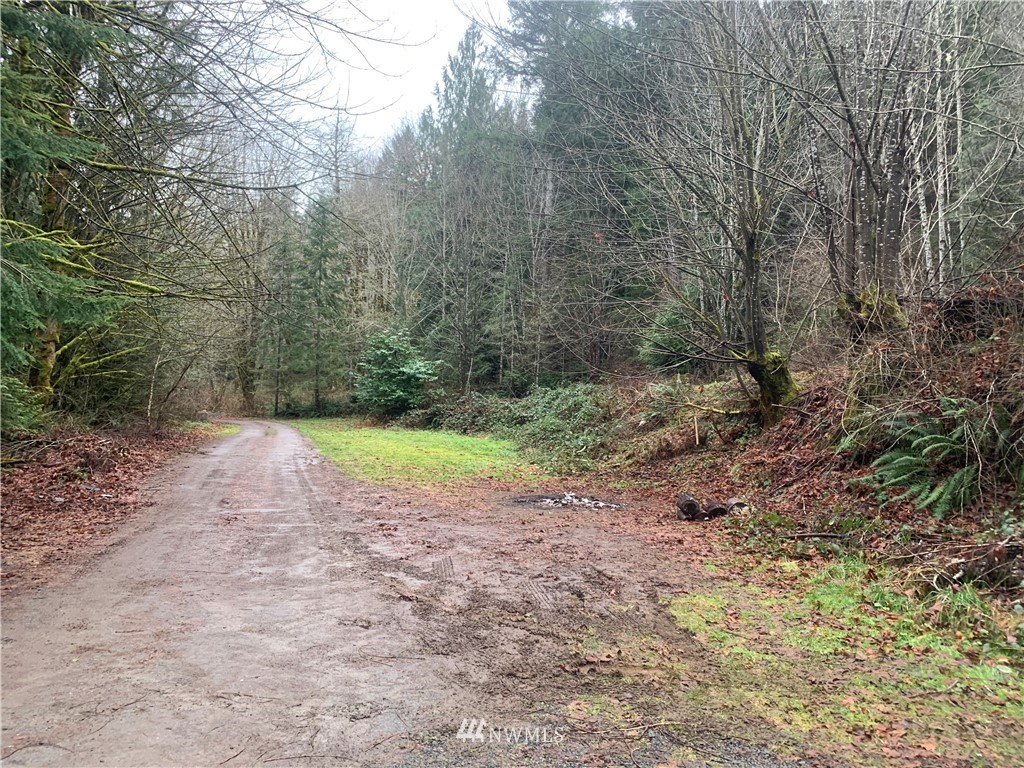 287 Lords Lake Loop Road Quilcene, WA 98376 - Photo 19 of 21