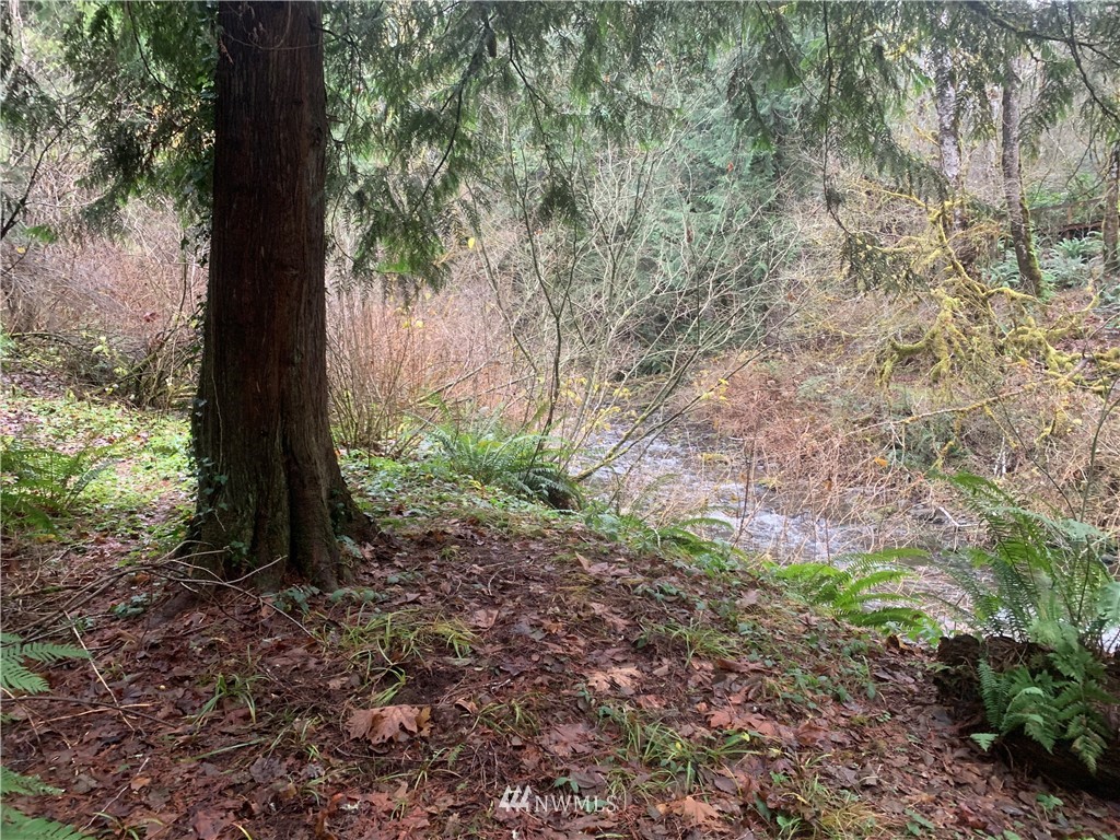 287 Lords Lake Loop Road Quilcene, WA 98376 - Photo 10 of 21