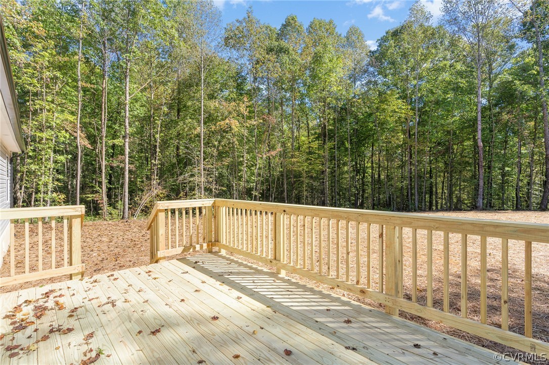 1813 Wildlife Run Road Beaverdam, VA 23015 - Photo 30 of 34