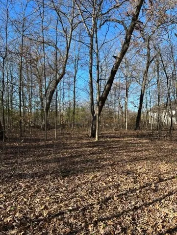 $275,000 | Xxx 263rd Street, Shafer, MN 55074