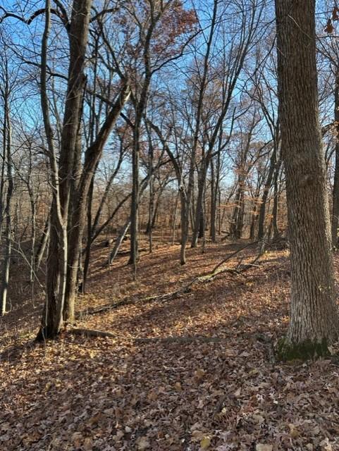 Xxx 263rd Street Shafer, MN 55074 - Photo 12 of 20