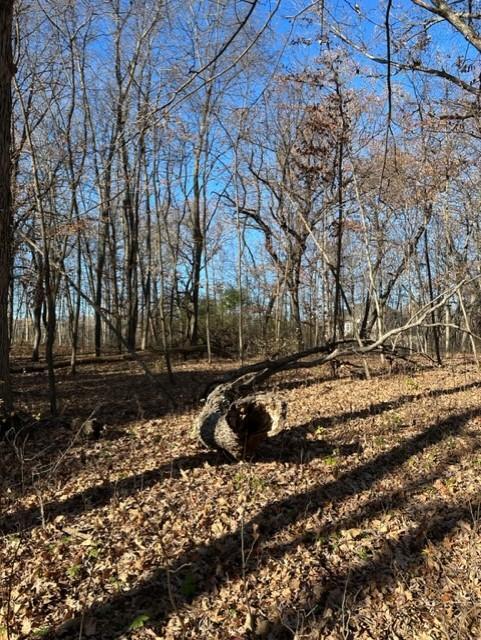 Xxx 263rd Street Shafer, MN 55074 - Photo 13 of 20