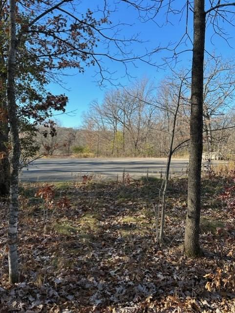 Xxx 263rd Street Shafer, MN 55074 - Photo 14 of 20