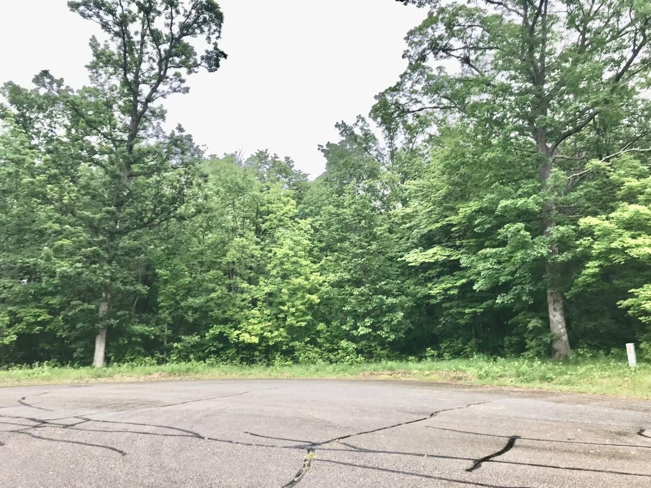 Xxx 263rd Street Shafer, MN 55074 - Photo 15 of 20