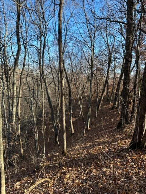 Xxx 263rd Street Shafer, MN 55074 - Photo 17 of 20