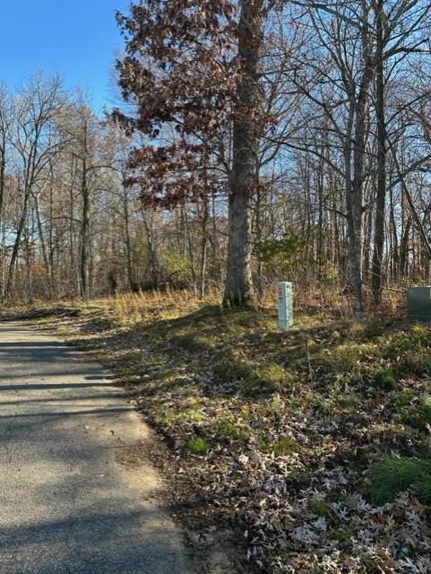 Xxx 263rd Street Shafer, MN 55074 - Photo 18 of 20