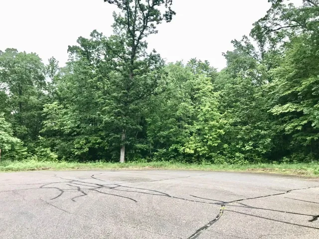 $275,000 | Xxx 263rd Street, Shafer, MN 55074