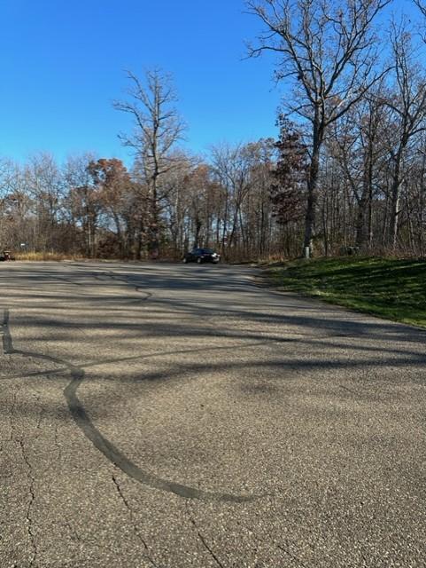 Xxx 263rd Street Shafer, MN 55074 - Photo 4 of 20