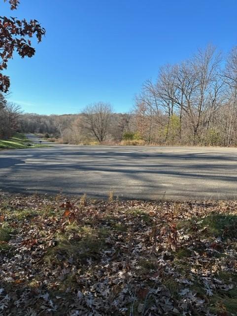 Xxx 263rd Street Shafer, MN 55074 - Photo 5 of 20