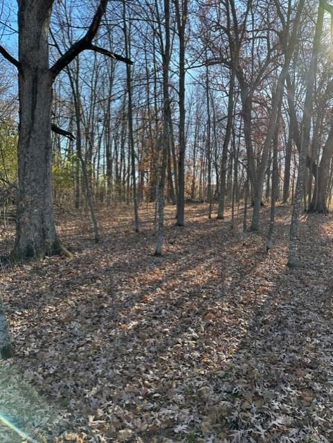 Xxx 263rd Street Shafer, MN 55074 - Photo 8 of 20