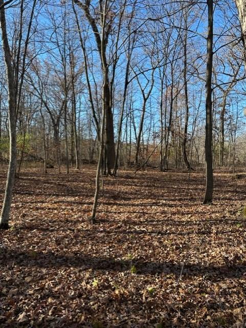 Xxx 263rd Street Shafer, MN 55074 - Photo 9 of 20