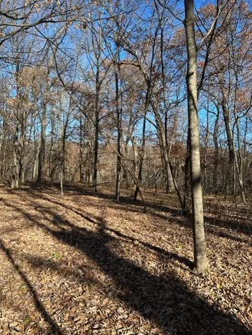 $275,000 | Xxx 263rd Street, Shafer, MN 55074