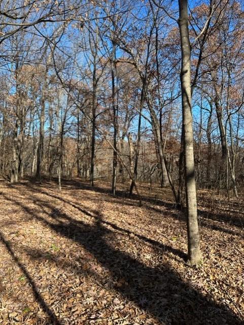 Xxx 263rd Street Shafer, MN 55074 - Photo 10 of 20