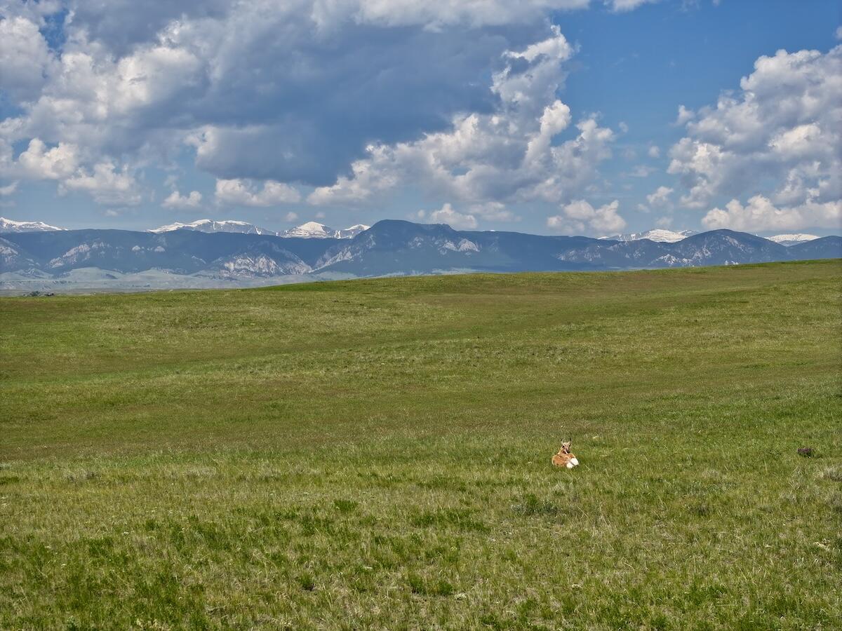 3 Trabing Road Buffalo, WY 82834 - Photo 18 of 21 19 copy