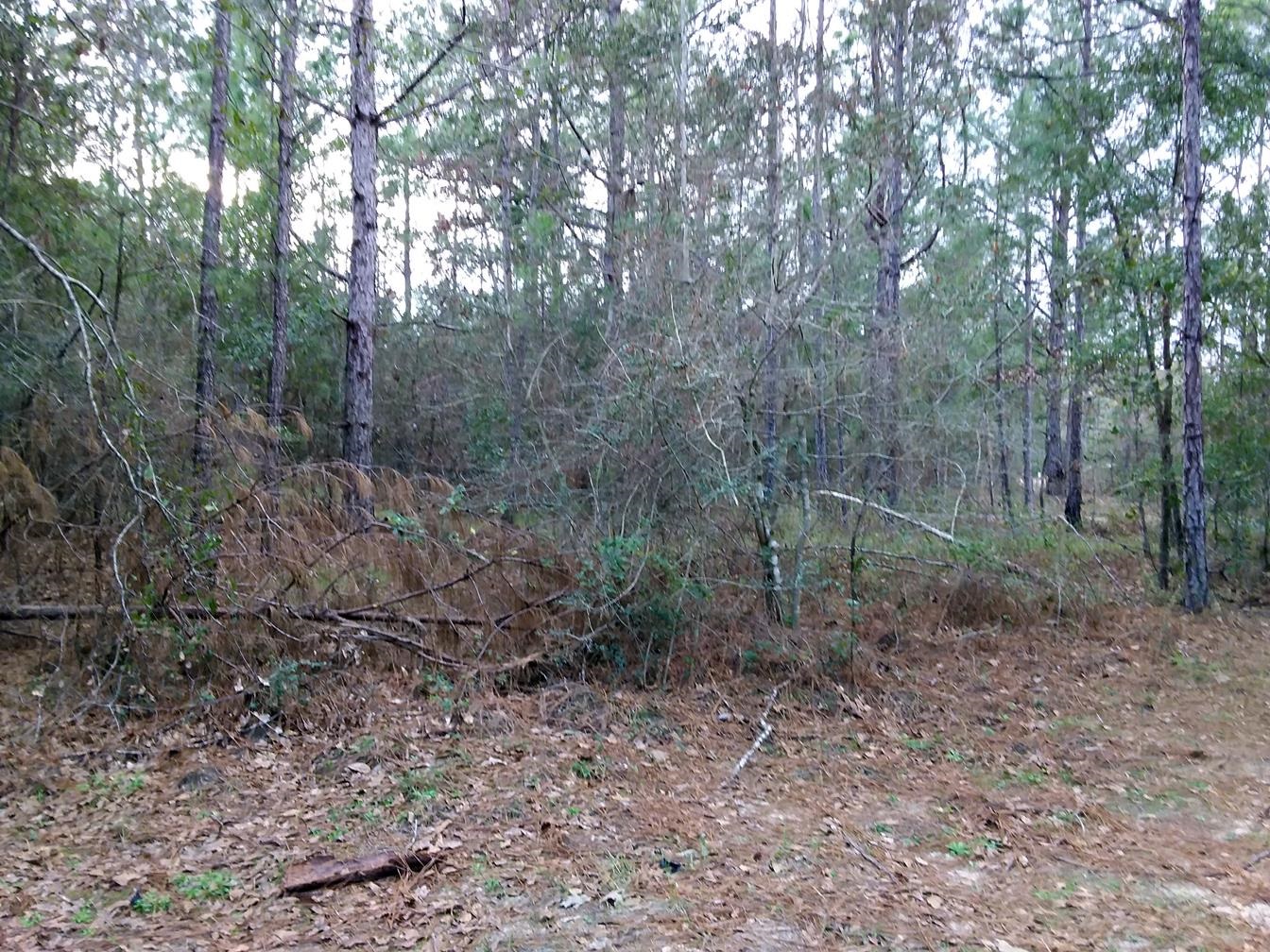49360 Pimperl Road Bay Minette, AL 36507 - Photo 3 of 8