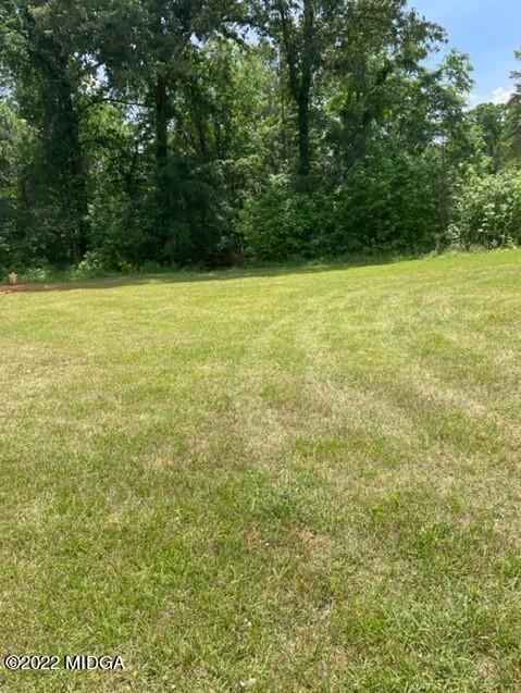 816 Lee King Road Forsyth, GA 31029 - Photo 14 of 15 a view of a yard with a tree