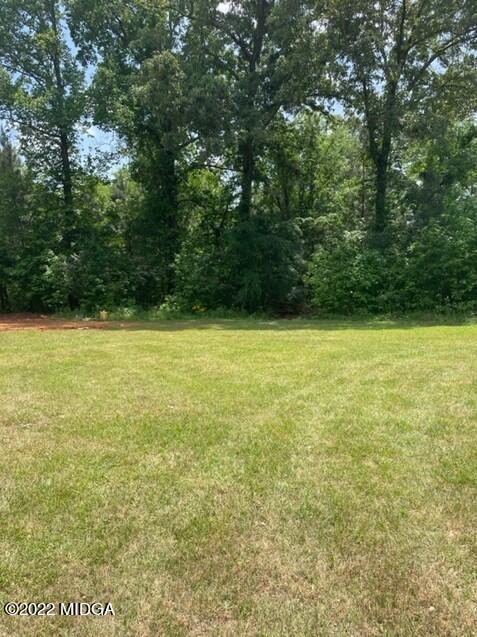 816 Lee King Road Forsyth, GA 31029 - Photo 15 of 15 a view of a ocean view