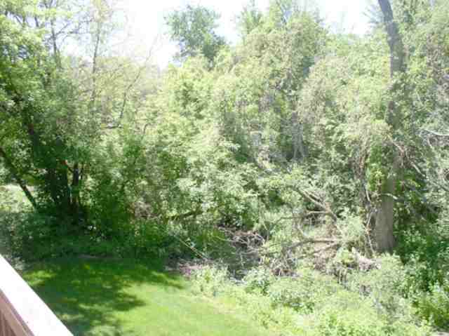 1710 Plum Tree Road Bettendorf, IA 52722 - Photo 4 of 9 Gallery Image 4