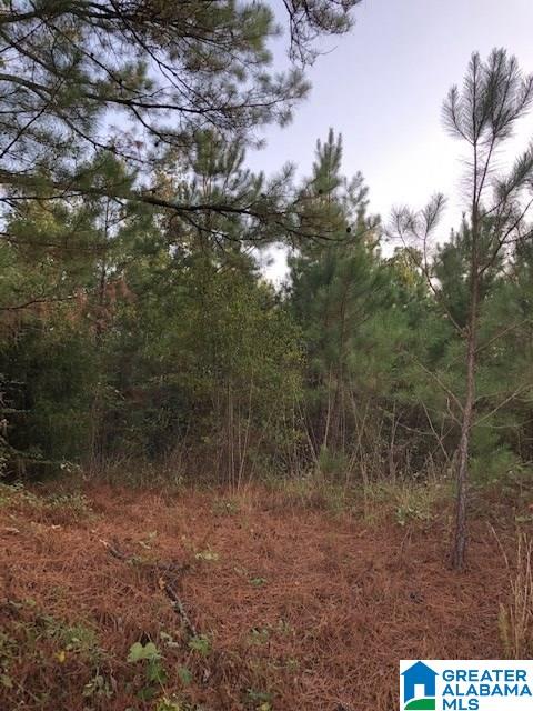 2441 County Road, Unit 5 21 Wedowee, AL 36278 - Photo 1 of 2