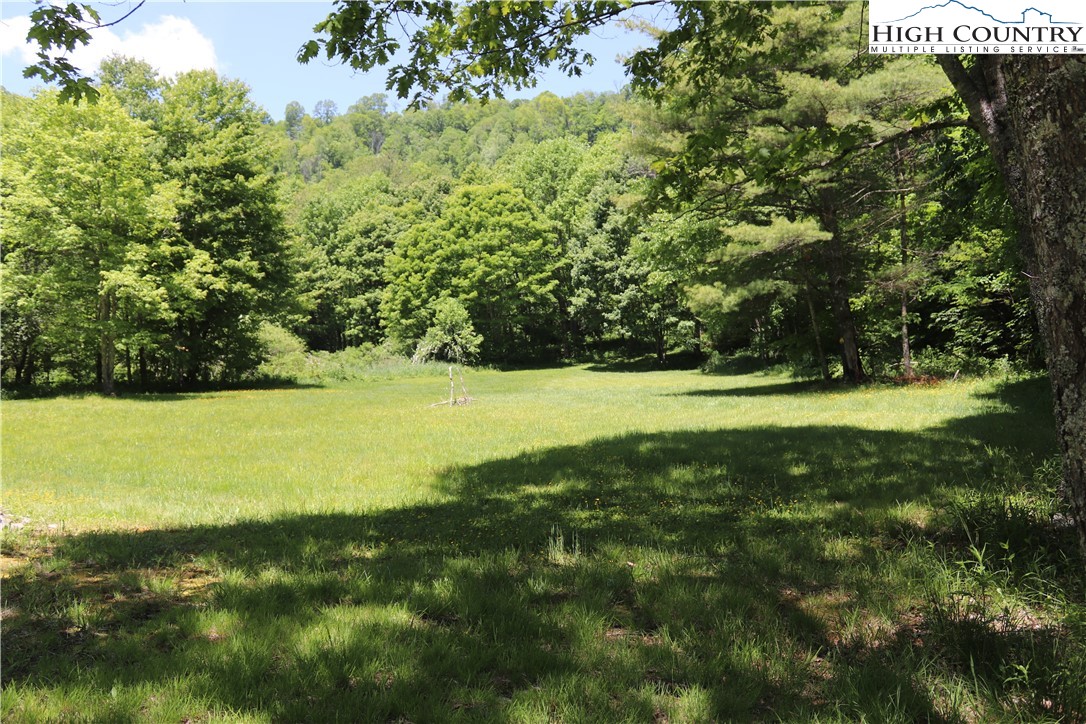 234 Bald Fork Road Todd, NC 28684 - Photo 9 of 28 Gallery Image 9