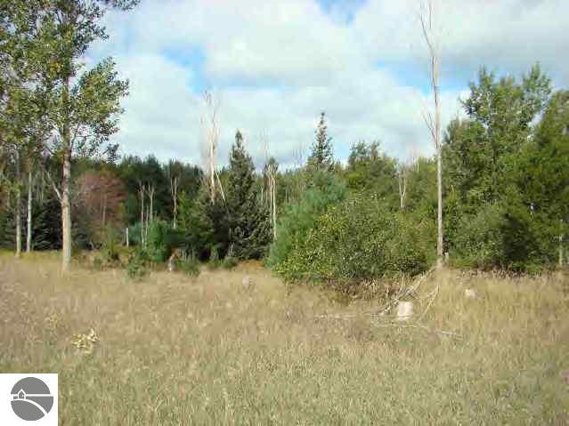 0 Reek Road Custer, MI 49405 - Photo 1 of 8 1692107.JPG