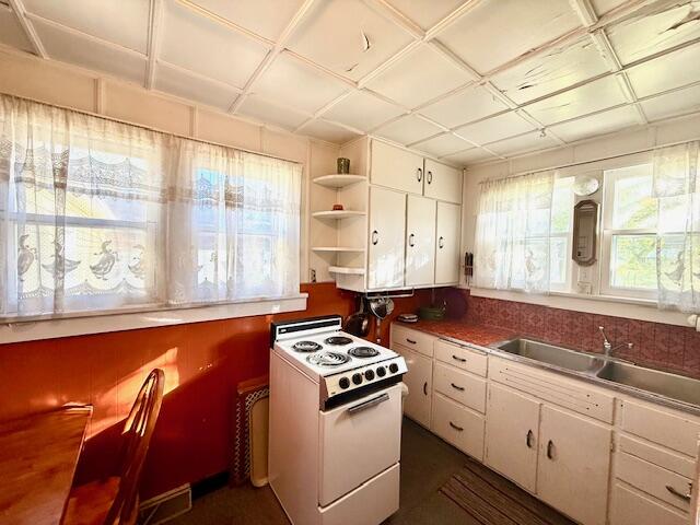 307 South Winnebago Street Caledonia, MN 55921 - Photo 5 of 18 IMG_0403