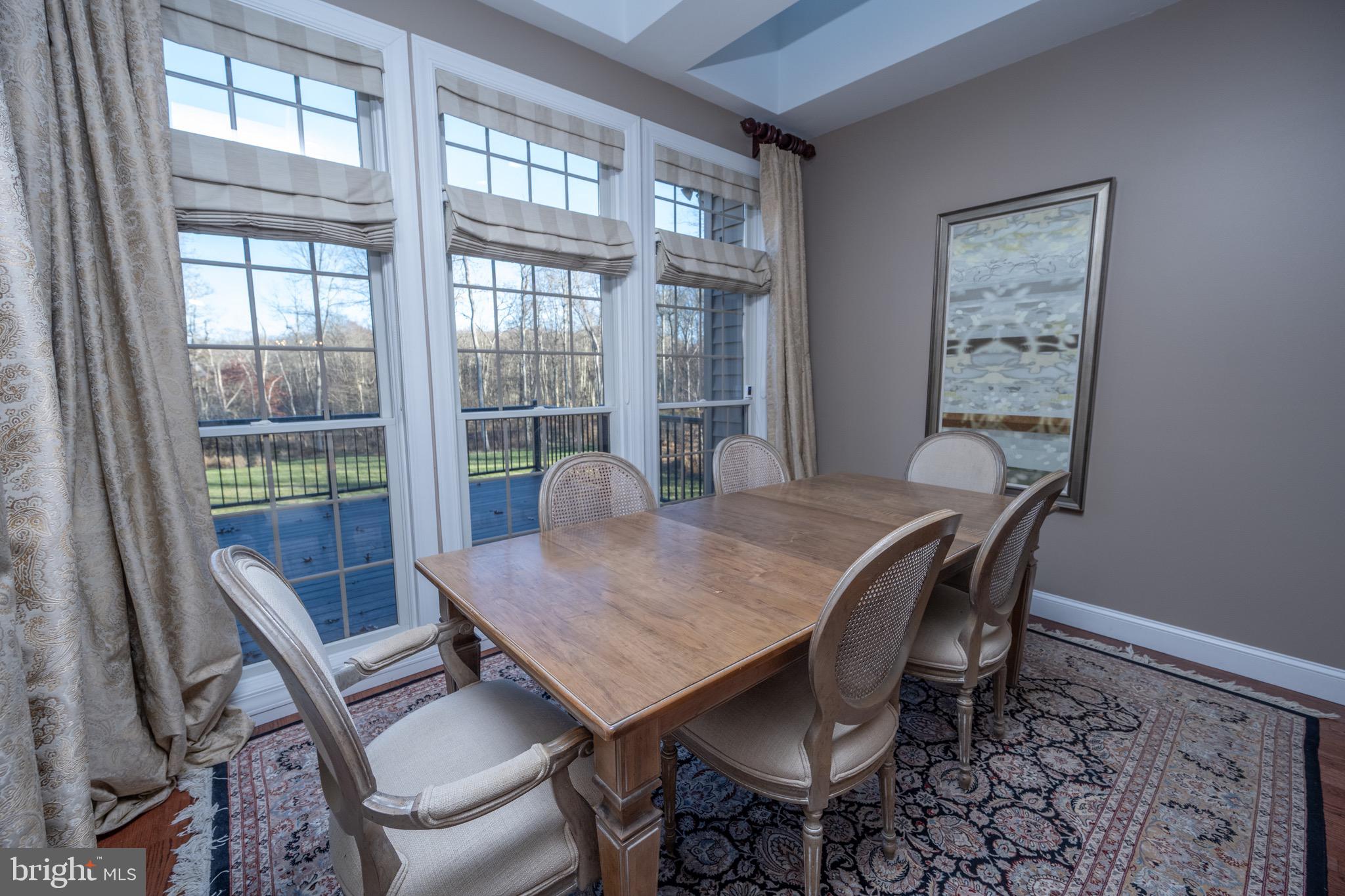 1001 Sutter Lane Oakland, MD 21550 - Photo 13 of 93
