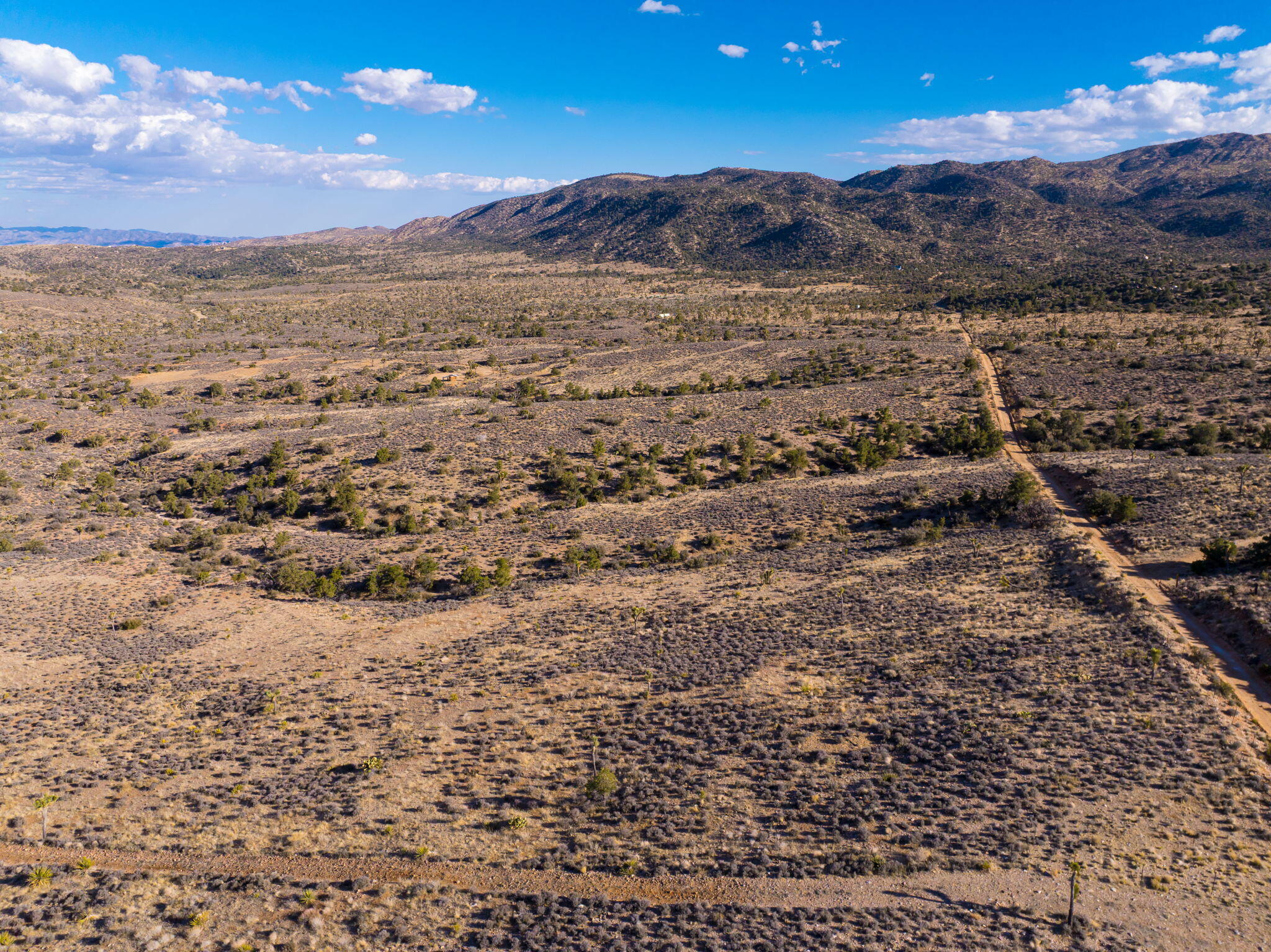 1102 Burlington Road Landers, CA 92285 - Photo 62 of 68 1102 Burlington Road, Pioneertown, CA