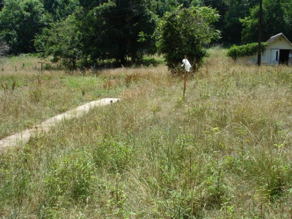 1333 Hardy Road Vinton, VA 24179 - Photo 4 of 4 Land3