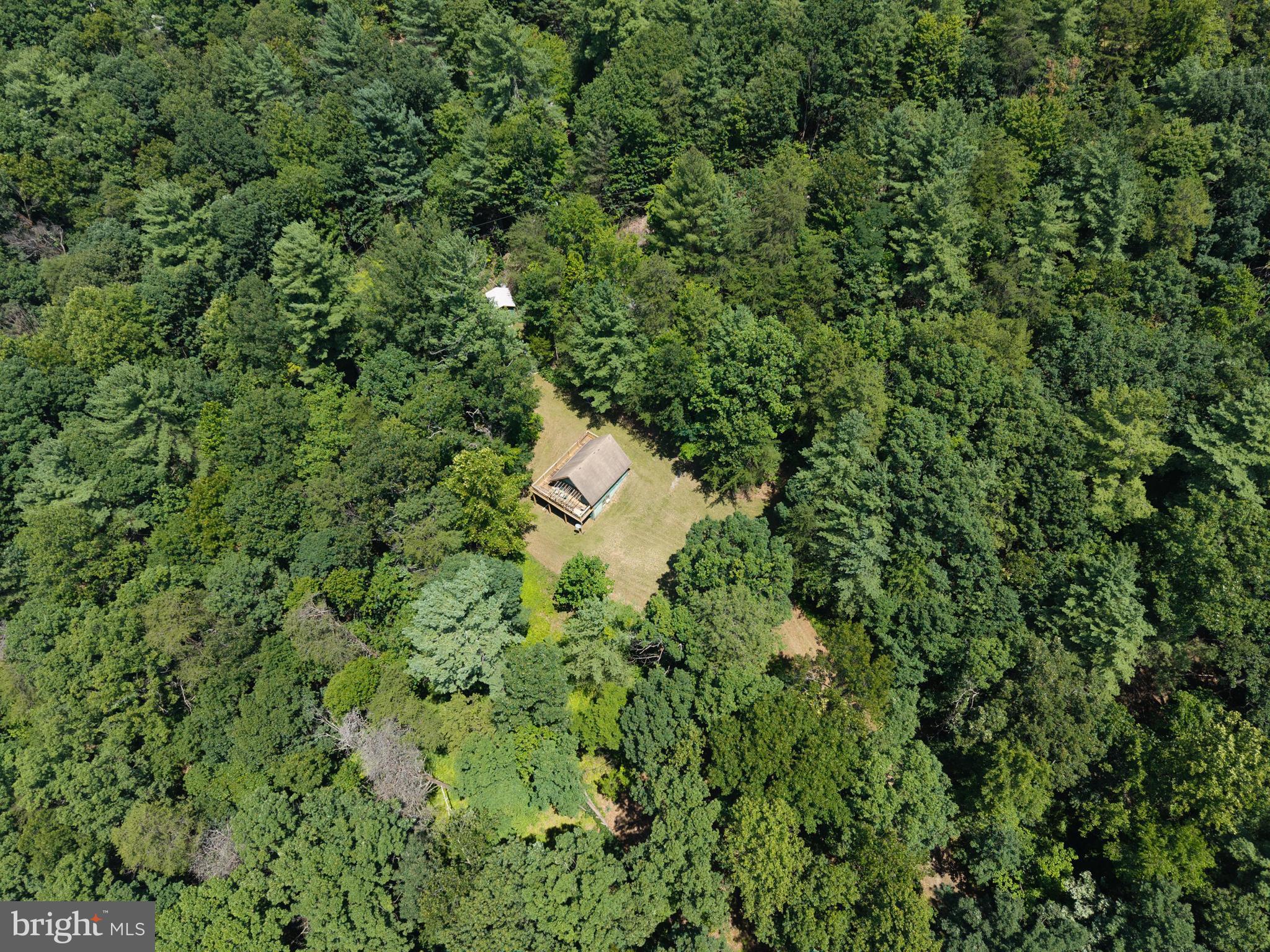 1247 Somers Road Luray, VA 22835 - Photo 56 of 67 an aerial view of residential house with outdoor space and trees all around