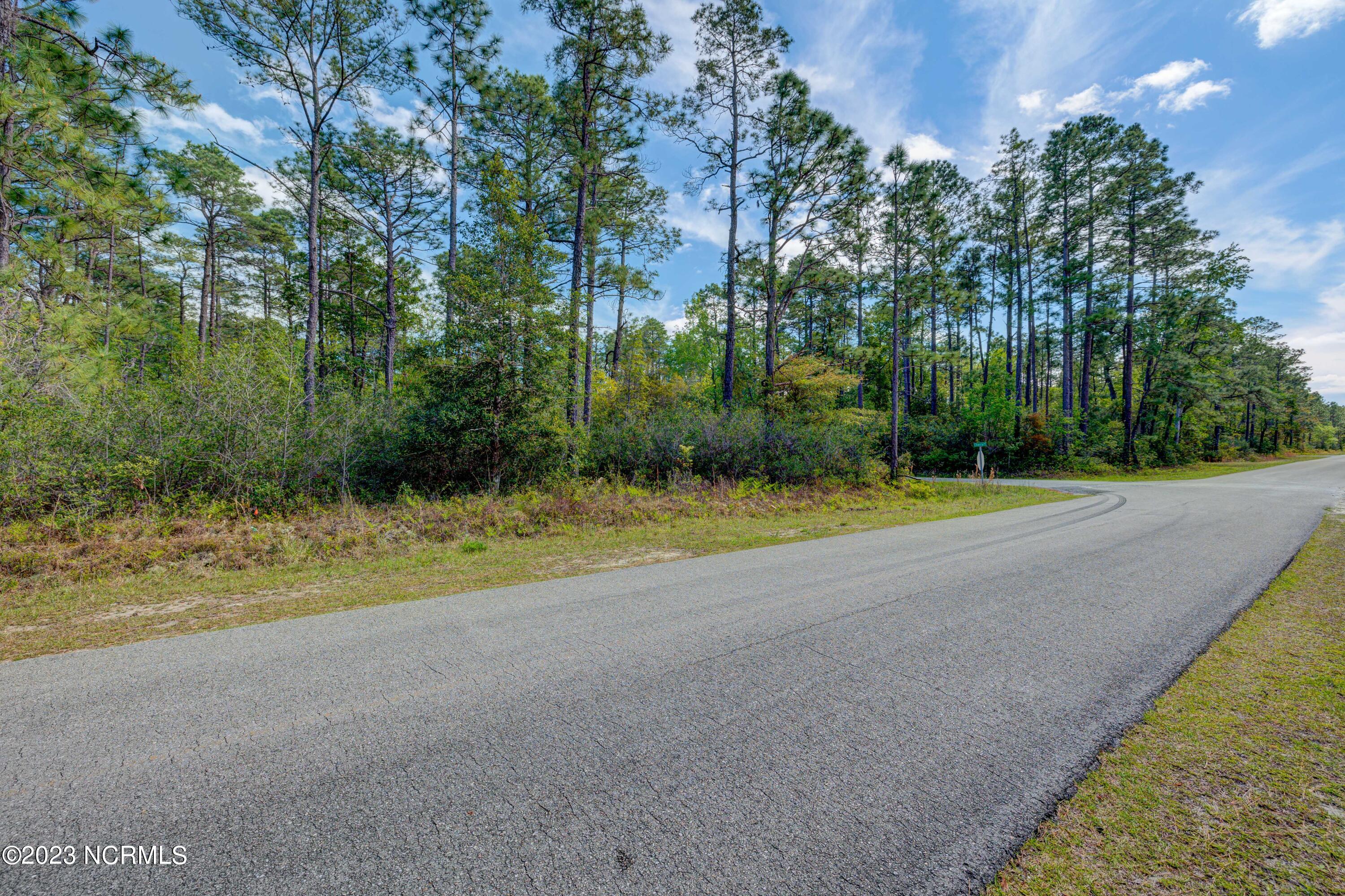 1602 Juniper Road Boiling Spring Lakes, NC 28461 - Photo 8 of 8 BoilingSpringLots-39