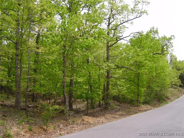 $9,000 | Lot#22 Layman Avenue, Camdenton, MO 65020