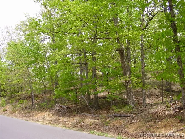 $9,000 | Lot#22 Layman Avenue, Camdenton, MO 65020