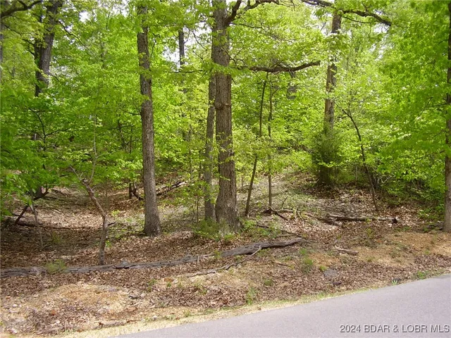 $9,000 | Lot#22 Layman Avenue, Camdenton, MO 65020